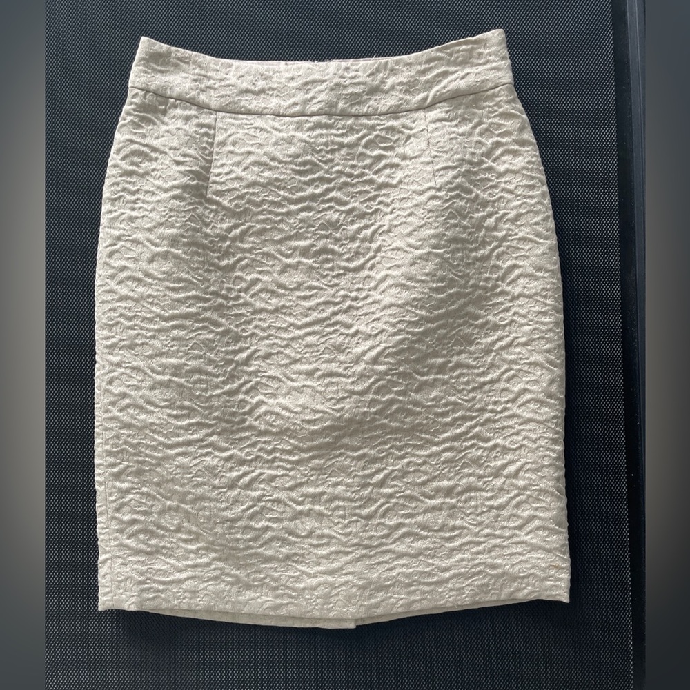 Banana Republic skirt